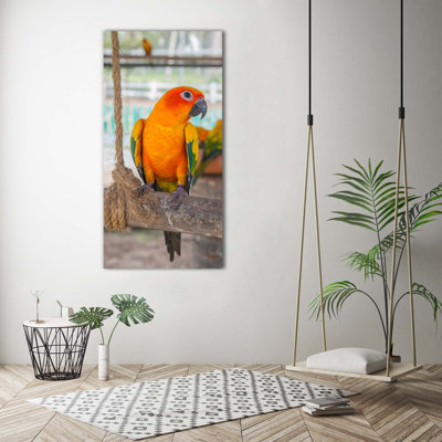 Parrot - Wrapped Canvas Print
