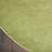 Nourison Essentials Green Indoor/Outdoor Area Rug-1072652019