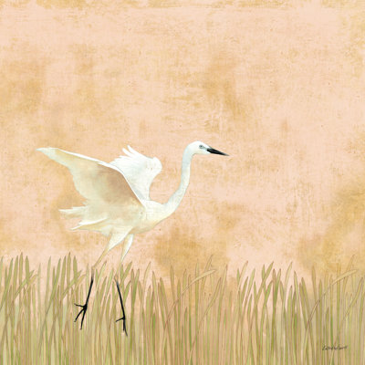 Aigrette se posant I