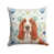Basset hound rouge / blanc