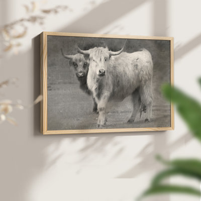 Highland Cattle Inseparable -Framed Print - Restickable