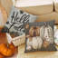 Housse de coussin Hello Fall citrouille décorative 18 x 18, 4 pièces