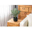 Artificial Plant