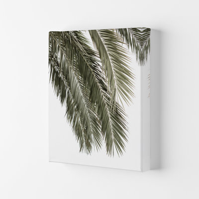 Palms 1 Piece Wall Art