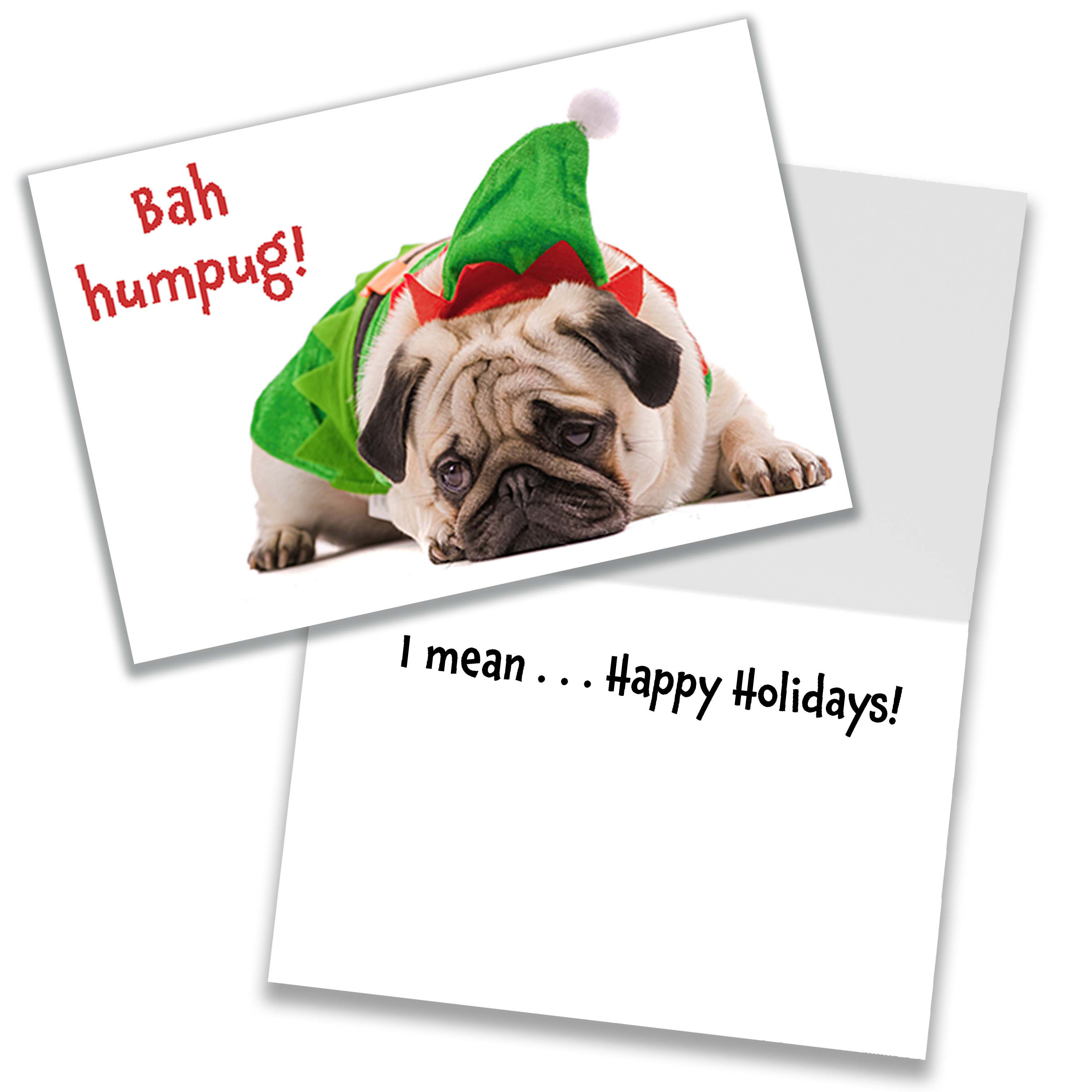 funny animal christmas cards