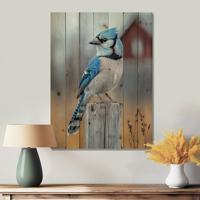 Photo Of Blue Jay In The Farmyard II - Bird Wood Print - On Natural Pine Wood
