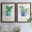 Basilic en pot - ensemble de 2 peintures sur toile encadrées-864886439-864886438
