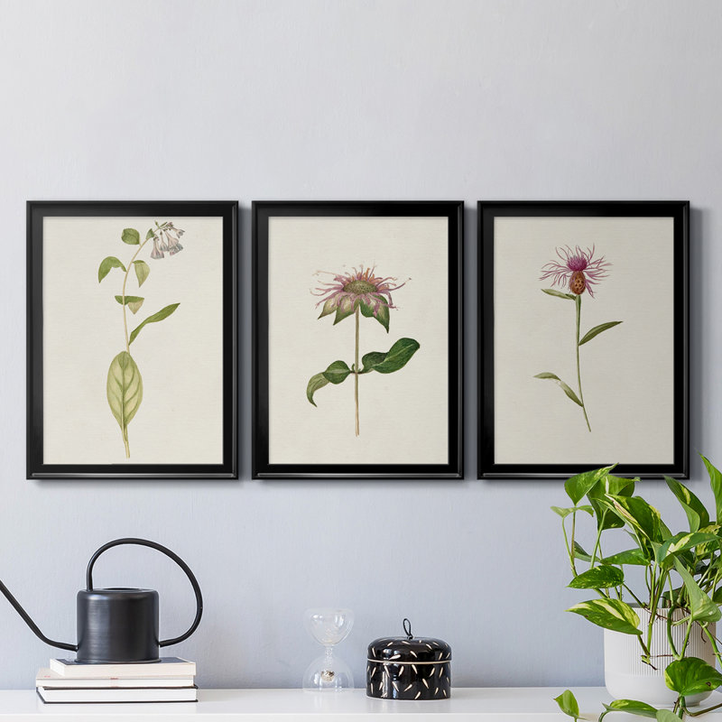 Mauve Garden Flowers IV, reproduction encadrée de qualité supérieure - prête à être accrochée, H 42,5 po x l 91,5 po x P 1 po