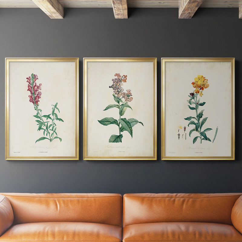 Toile encadrée de qualité supérieure Traditional Botanical I - prête à être accrochée, Or, H 30,5 po x l 67,5 po x P 1,25 po