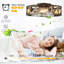 Aariyah 19.3'' Ceiling Fan with Light Kit