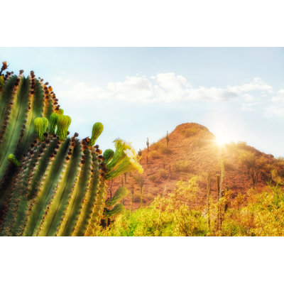 Arizona Desert Scene With Mountain And Cactus by Adogslifephoto - Wrapped Canvas Print