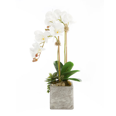 22 " Faux Orchid in Ceramic Pot