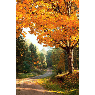 " Autumnal Landscape " by Mironovak