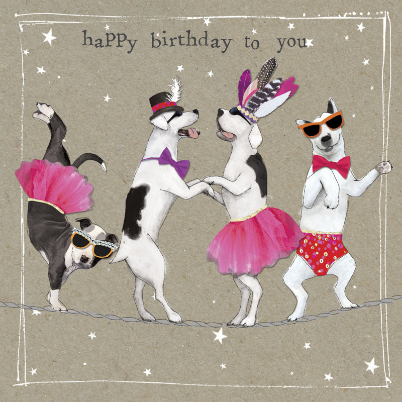 Fancypants Cool Dogs X, H 12 po x l 12 po x P 1,25 po
