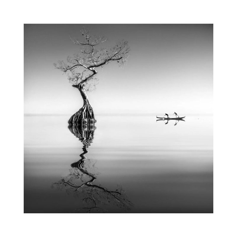 Armonia by Moises Levy - Wrapped Canvas Gallery-Wrapped Canvas Giclée, 93.98 cm H x 93.98 cm W x 3.175 cm D