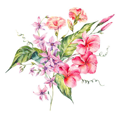 Pearces Watercolour Botanical - Wrapped Canvas Print