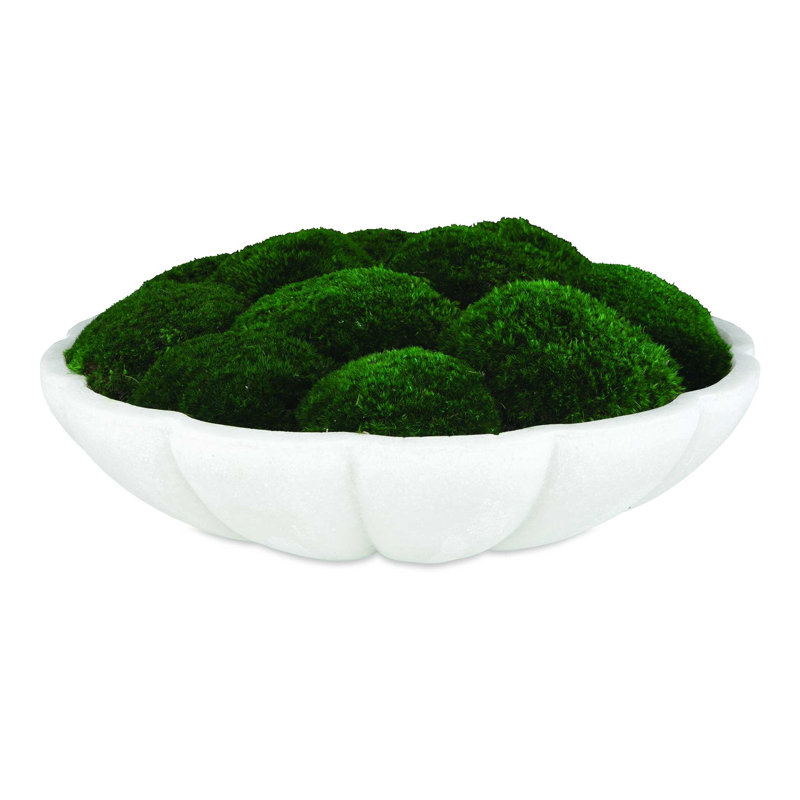  Awaken Moss Centerpiece