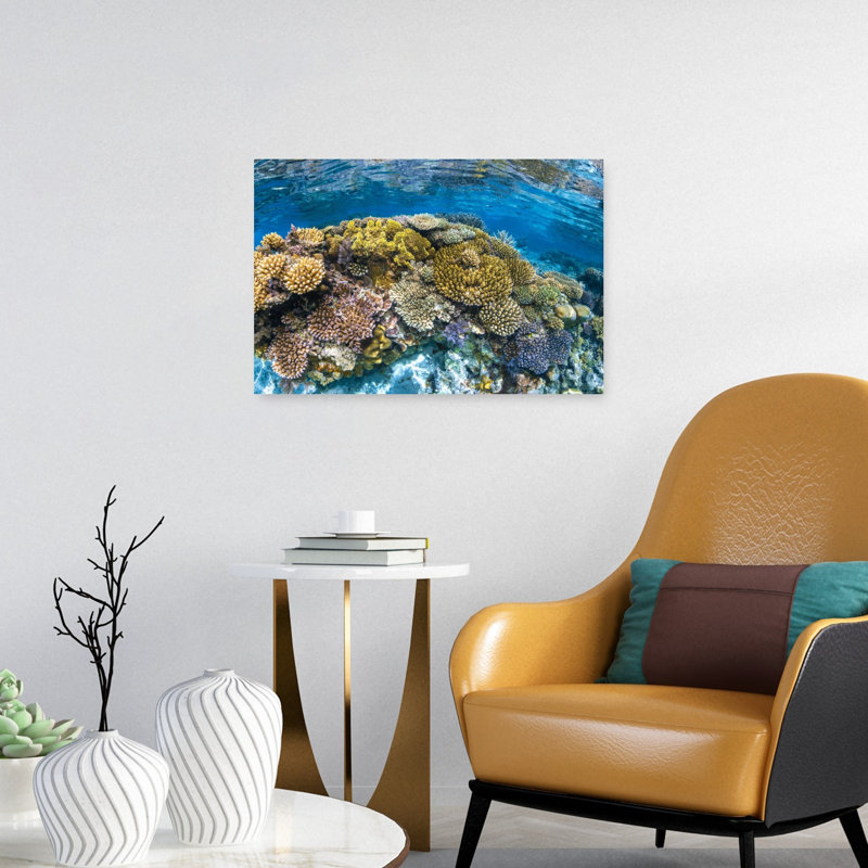 Impression murale Panoreef Ocean Tropical, H 16 po x l 24 po
