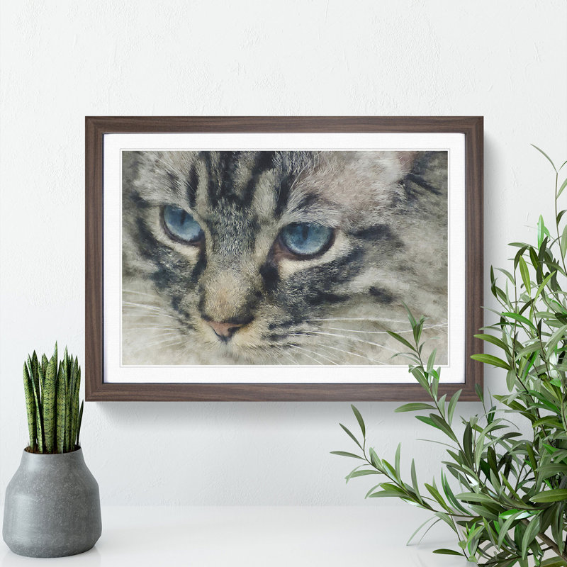 Portrait of a Cat Vol.14 - Picture Frame Painting, 27cm H x 36cm W x 2cm D, Walnut Framed