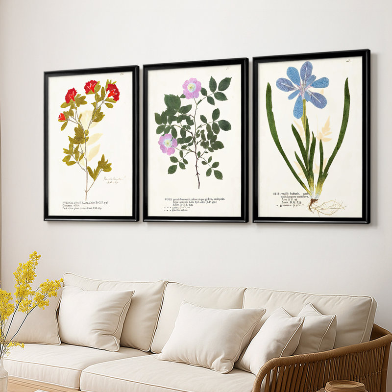 Nature imprimé Botanicals VIII - Toile tendue avec châssis sur mesure - 3 pièces, Noir, H 30 po x l 63 po