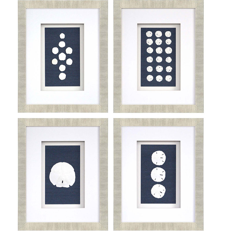 " Sand Dollars " 4 - Pieces