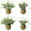 Plantes d'eucalyptus artificiel rustique de 7 pouces avec jardinières tissées à la main