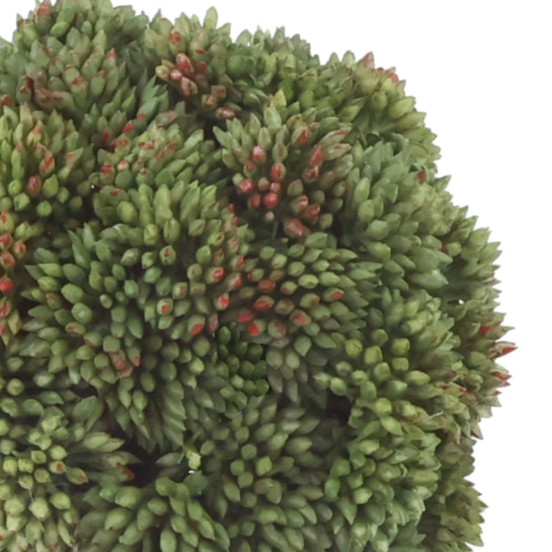 Decorative Sedum Balls, Green