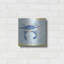 Luxe Blue Art «Blue Crab VI» par Phyllis Adams, Me «Blue Crab VI» par Phyllis Adams
