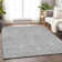  Maliana Area Rug