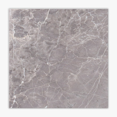 12 in. x 12 in. Marble Tile