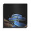 «Slithering Cobalt» par Luxe Metal Portfolio-1896697997