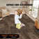 24'' W x 24'' L Level Cut And Loop Polyester Carpet Tile