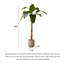Bananier artificiel vert clair