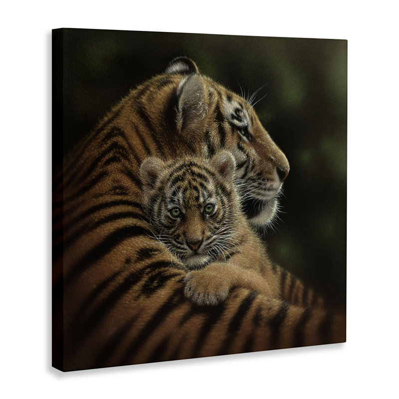 Toile de tigre chéri, design par Collin Bogle, H 17 po x l 17 po