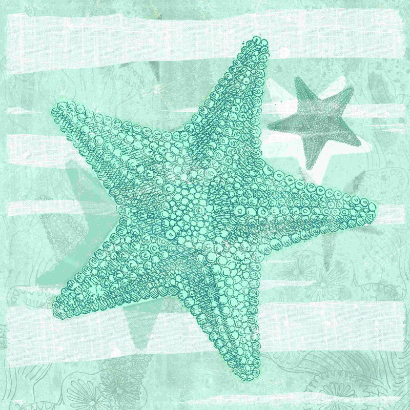 «Soft Sea Starfish», impression sur toile tendue, H 30 po x l 30 po