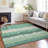 Fleau Indoor / Outdoor Rug-489021679