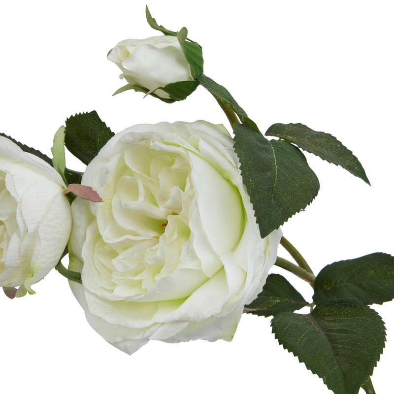 Anastasija Arrangement, White, 58 cm H x 10 cm W x 10 cm D