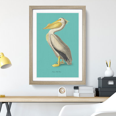 American Pelican in Teal by John Audubon - Framed Print