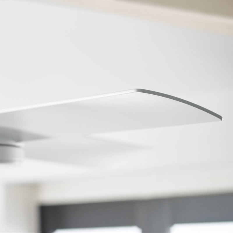 LED Ceiling Fan, Matte White