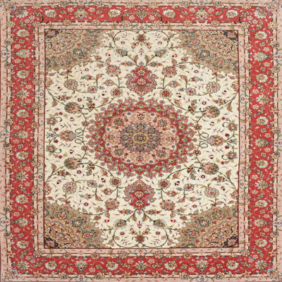 Oriental Indoor Rug