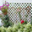 Meigs Iron Lattice Panel Trellis-1737541549-1737541544