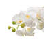 155cm Faux Flowering Plant in Pot