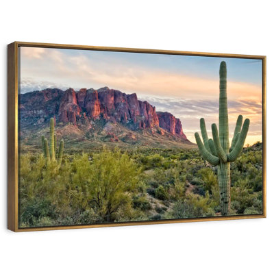 Cacti View II