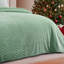 Couverture en flanelle brossée grand vert d'hiver-116843135-116843132