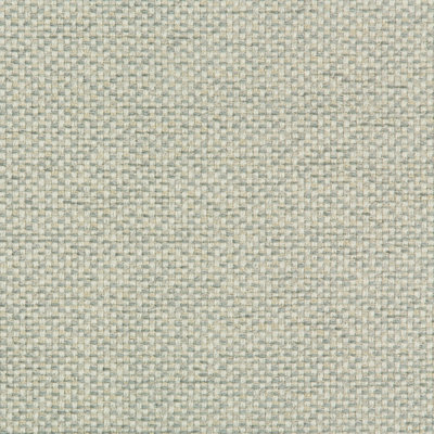 Performance Crypton Home Fabric
