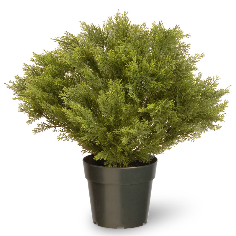 28-Inch Artificial Globe Juniper Tree, Realistic Fake Tree Potted Plant, Dark Green Round Growers Pot