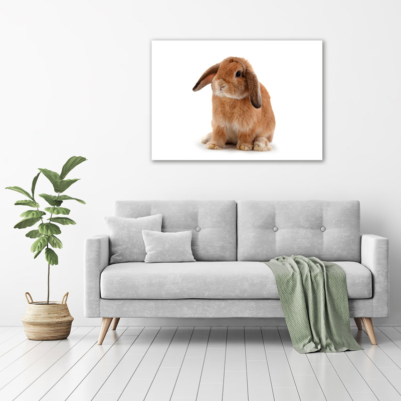 Red-Haired Rabbit - Wrapped Canvas Print