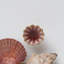 Paquet multiple de 1,6 boutons de fantaisie Alice-49972771-49972770