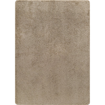 Washable Indoor Area Rug