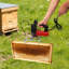 Shaker électrique pour abeilles 110V 150W